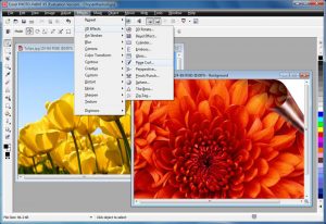 Corel Draw Serial Number - cellmultifiles